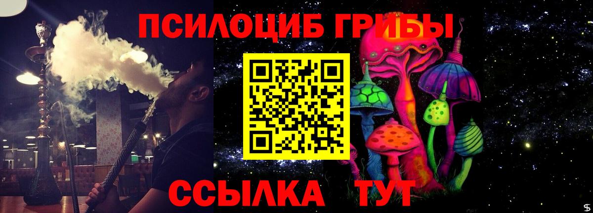 Галлюциногенные грибы MAGIC MUSHROOMS Кандалакша