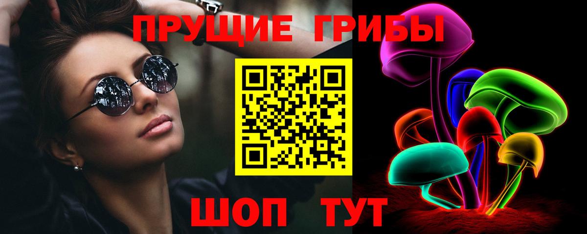Псилоцибиновые грибы MAGIC MUSHROOMS  Вход с VPN  наркотики  Кандалакша  Галлюциногенные грибы Psilocybine cubensis 